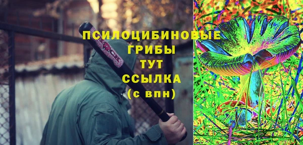 сатива Алзамай