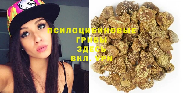 сатива Алзамай