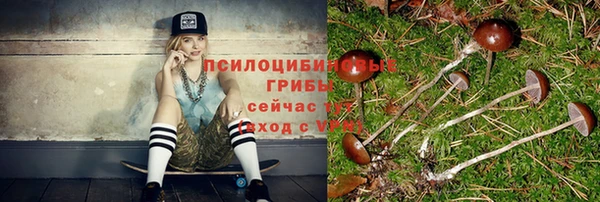 сатива Алзамай