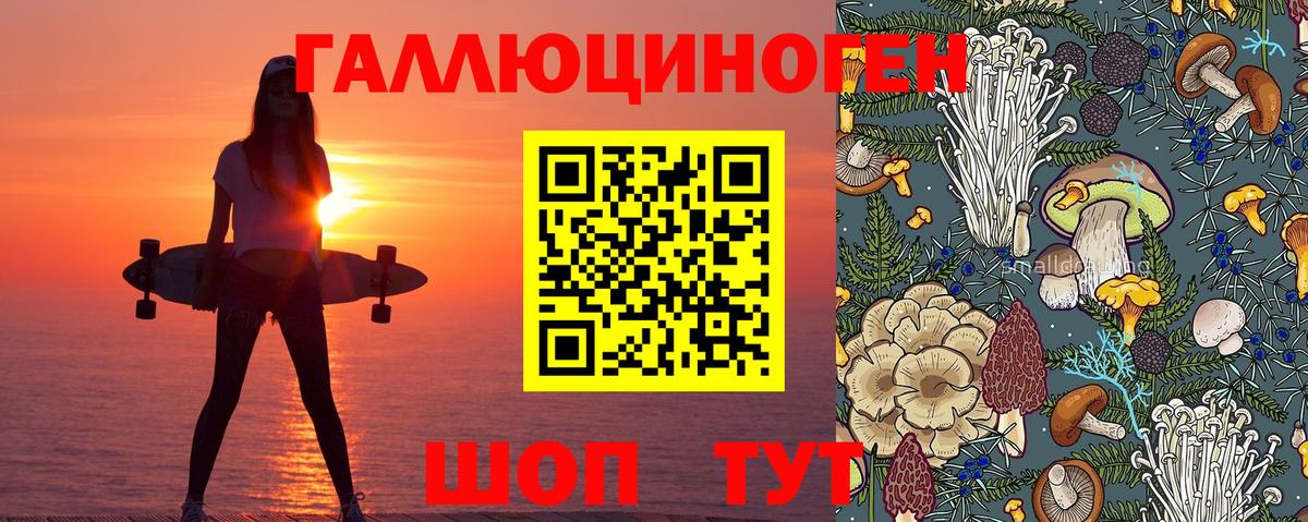 Псилоцибиновые грибы мухоморы Уссурийск